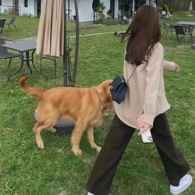 妖媚女姬